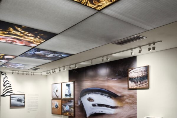 WhatsApp Image 2025-11-27 at 10.23.09